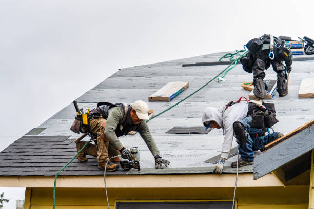 Professional Gutter Installation technician working in Pax, WV